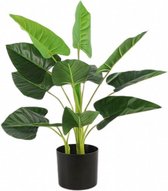 kunstplant Strelitzia 45 x 50 x 55 cm groen
