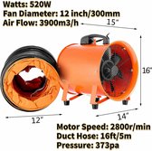 Stage ventilators-Draagbare luchtblazer Fan-industriële axiale ventilator-12inch
