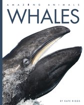 Amazing Animals- Whales