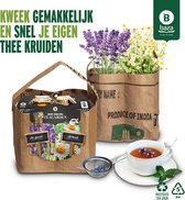 Baza Duo-Tuintje Thee Bio Kamille En -Lavendel - Moederdag cadeau
