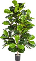 Ficus Lyrata - kunstplant