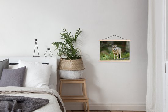 Affiche textielposter Loup eurasien 60x40 cm