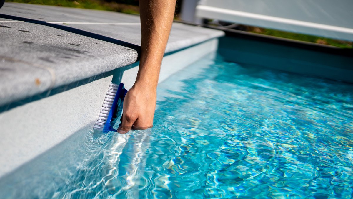 Zwembadborstel voor zwembadwand en bodem - efficiënt - 2 stuks - blauw