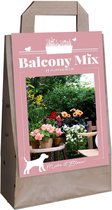 Jub Holland - Balkon Planten Mix - 10 Zomerbloeiers - Bloembollen - Voor Potten op Balkon en Terras - Garden Select