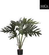 Mica Decorations Philodendron Selloum Kunstplant - H60 x Ø45 cm - Terracotta Pot - Groen