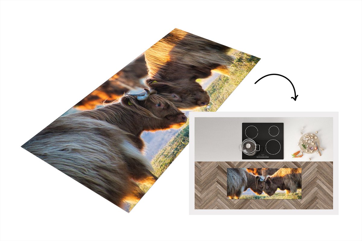 KitchenYeah Keukenloper - Loper keuken - Schotse Hooglanders - Dieren - Zon - 120x50 cm - Keukenloper vinyl Multicolor
