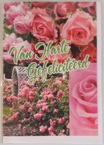 Van harte gefeliciteerd! Een bijzondere kaart met prachtige rozen in de tuin. De rozen hebben een felle licht en donkerroze kleur. Leuk om bij een cadeau te voegen of om zo te geven. Een dubbele wenskaart inclusief envelop en in folie verpakt