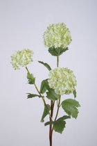 Kunstbloem Sneeuwbal - topkwaliteit decoratie - Groen - zijden tak - 65 cm hoog