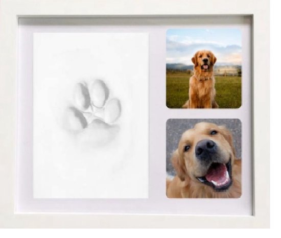 Coffret cadre photo + moulage empreinte de patte - Chien - Coin et cadre  photo - Creavea