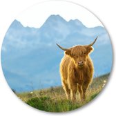 Schattige Schotse Hooglander - Muurcirkel Forex 80cm | Wandcirkel voor binnen - Dieren - Natuur