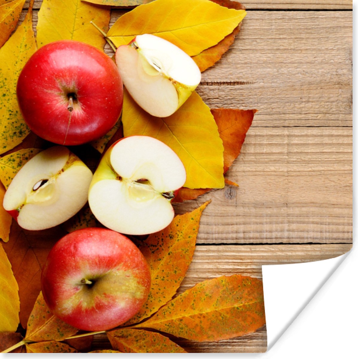 Poster Appel - Bladeren - Herfst - Fruit - 75x75 cm