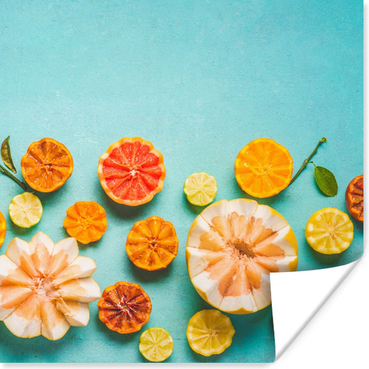 Poster Citrus - Zomer - Fruit - 30x30 cm