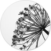 Label2X - Muurcirkel - Blew - Ø 20 cm - Forex - Multicolor - Wandcirkel - Rond Schilderij - Bloemen en Planten - Muurdecoratie Cirkel - Wandecoratie rond - Decoratie voor woonkamer