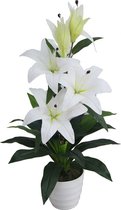 Witte Kunst Lelie Plant - 75cm