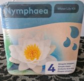 Moerings - Droogverpakking vijverplant - Nymphaea waterlelie Wit