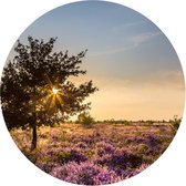 Behangcirkel Op De Heide | ⌀ 30 cm | Zelfklevend | Wanddecoratie | Ronde Muursticker | Muurcirkel Binnen