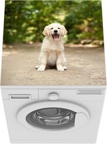 Wasmachine beschermer mat - Labrador Retriever puppy zit op een bospad - Breedte 60 cm x hoogte 60 cm