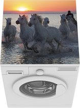 Wasmachine beschermer mat - Verwijderen vanwege ruiter - Breedte 60 cm x hoogte 60 cm