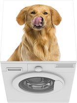 Wasmachine beschermer mat - Een likkende Golden Retriever - Breedte 60 cm x hoogte 60 cm