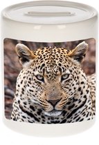 Dieren jaguar foto spaarpot 9 cm jongens en meisjes - Cadeau spaarpotten jaguar jaguars liefhebber
