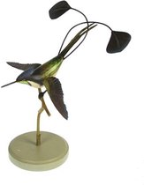 Kolibri met sierstaart 27cm