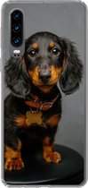 Geschikt voor Huawei P30 hoesje - Studio foto van teckel puppy - Siliconen Telefoonhoesje