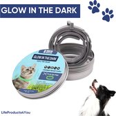 LifeProducts4You Teken en Vlooienband Kat en Hond - Kat - Hond - Vlooienband Kat - Vlooienband Hond - Vlooien - Diervriendelijk - Natuurlijk Product - Glow In The Dark - 8 Maanden Bescherming