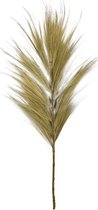 Balivie - Decoratief beeld of figuur - Graspluim - Grass Plume - Rayang Grass - Bamboe steel - Naturel - 38x1x118 cm