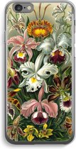Case Company® - iPhone 6 / 6S hoesje - Haeckel Orchidae - Soft Cover Telefoonhoesje - Bescherming aan alle Kanten en Schermrand
