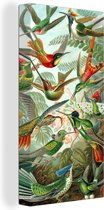 Canvas Schilderij Design - Kolibrie - Natuur - Ernst Haeckel - 20x40 cm - Wanddecoratie