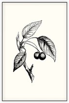 Zoete Kers zwart-wit (Gean) - Foto op Akoestisch paneel - 100 x 150 cm