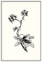 Wateraardbei zwart-wit (Marsh Clinquefoil) - Foto op Akoestisch paneel - 100 x 150 cm
