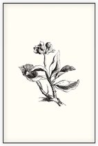 Eiloof zwart-wit (Ivy Berries) - Foto op Akoestisch paneel - 60 x 90 cm