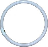 Ringlamp voor RFL-3 40W  glas wit