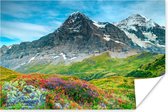 Poster Bloemenweide in de Zwitserse Alpen - 180x120 cm XXL