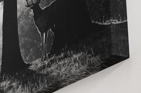 Artaza Peinture sur Toile Cerf dans les Forêts au Lever du Soleil - Zwart Wit - 90x60 - Photo sur Toile - Impression sur Toile