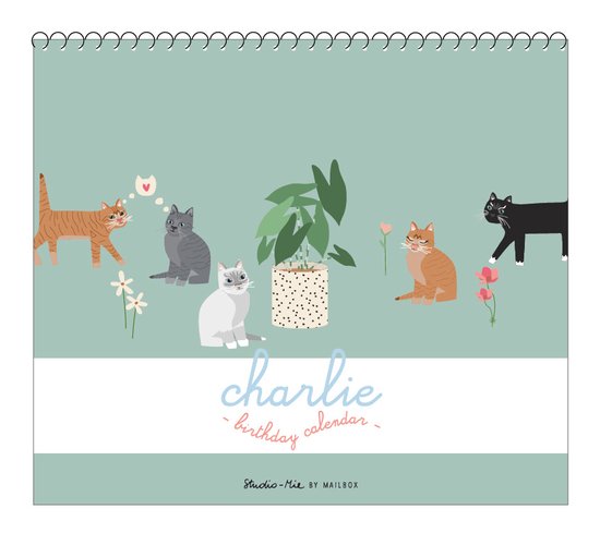 Seelenzauber Wandkalender Terzauber lustge Katzen DN A3 Kalender für