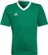 adidas - Entrada 22 Jersey Youth - Groene Voetbalshirt -152