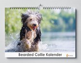 Bearded Collie kalender XL 42 x 29.7 cm | Verjaardagskalender Bearded Collie | Verjaardagskalender Volwassenen