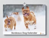 Bordeaux Dog kalender 35x24 cm | Verjaardagskalender Bordeaux Dog | Verjaardagskalender Volwassenen