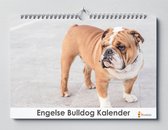 Engelse Bulldog kalender XL 42 x 29.7 cm | Verjaardagskalender Engelse Bulldog | Verjaardagskalender Volwassenen