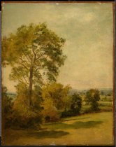 Kunst: Lionel Bicknell Constable, Tree in a Landsdcape, c. 1850, Schilderij op canvas, formaat is 75X100 CM