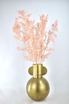 Droogbloemen - Ruscus zalm - Natuurlijk Bloemen - 70 cm
