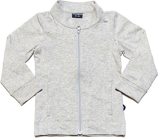 Silky Label vest met rits Stunning Grey - maat 98/104 - grijs