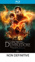 Fantastic Beasts: The Secrets of Dumbledore (blu-ray)