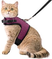 Kattentuigje met Leiband Riem Kattenharnas Paars Maat S Kat & Kitten - Dieren Kattenriem - Cat Leash - Halsomvang 15 tot 20cm - Borstomvang 25 tot 30cm - Zootic®