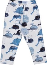 Baby Whales Leggings Leggings | Maillots Bio-Kinderkleding