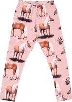 Beauty Horses Leggings Leggings | Maillots Bio-Kinderkleding