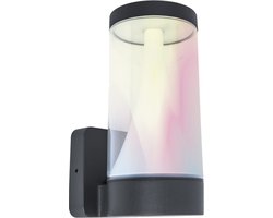 LUTEC SPICA WIZ Connected - Wandlamp - Donkergrijs
