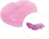 Scentchips® Orchidee geurchips - XL doosje 38 geurchips